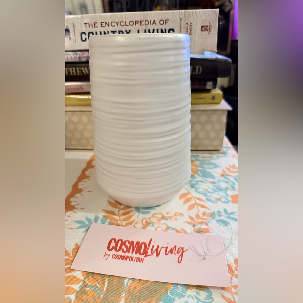Cosmo Living by Cosmopolitan White Pottery Vase